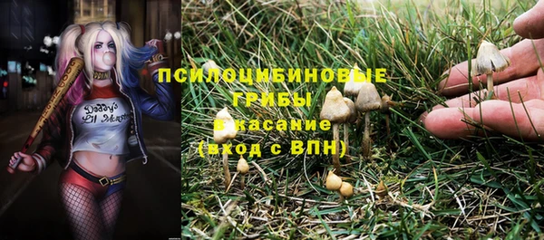 бошки Алексеевка